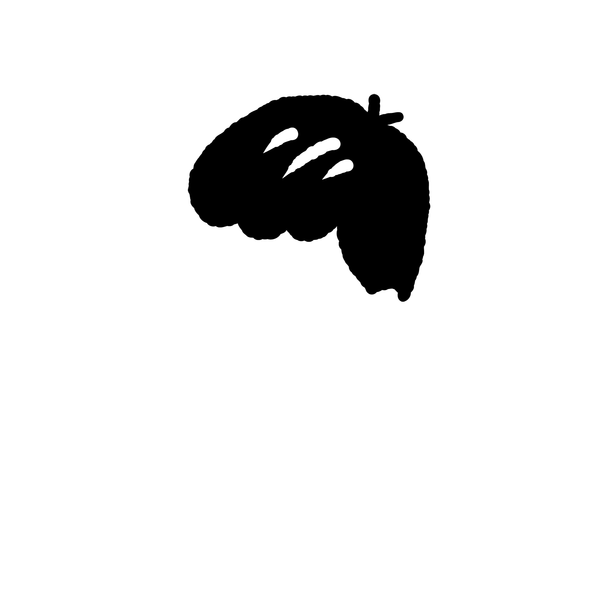 013 もっさり黒２