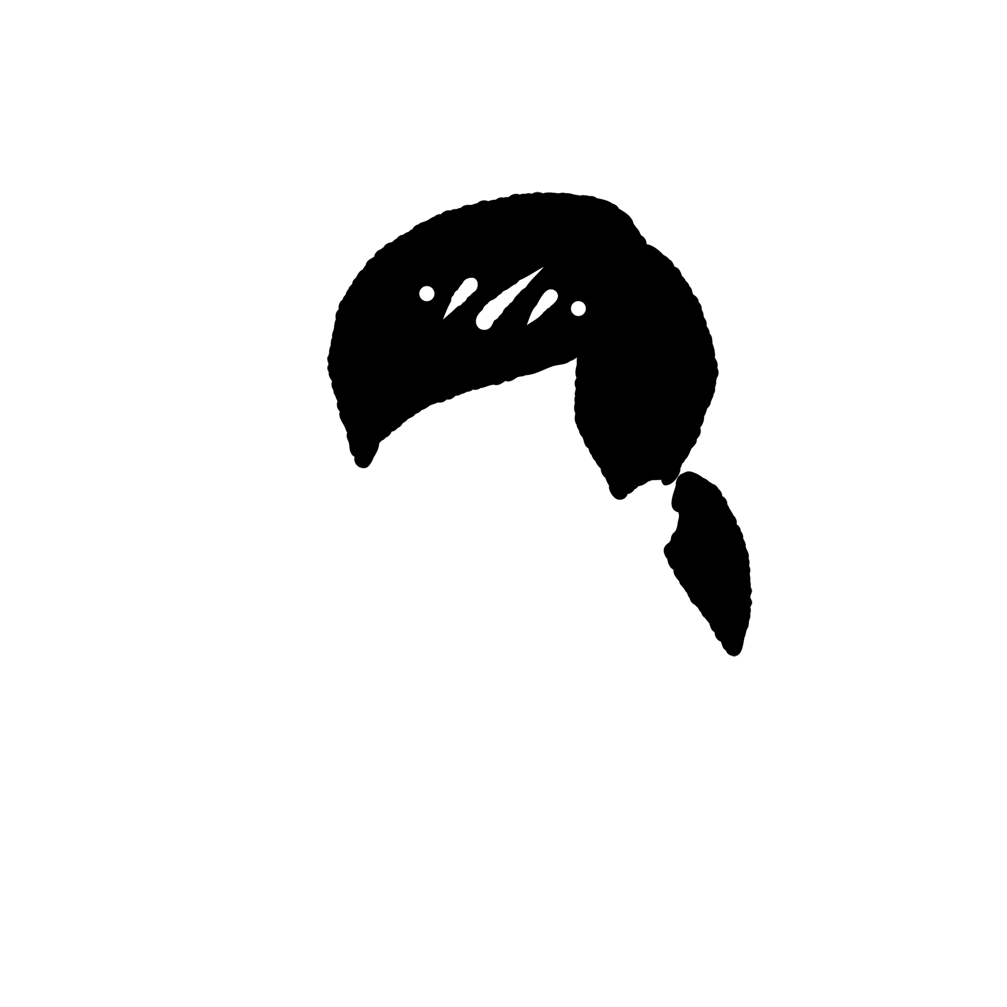 007 ポニーテール黒